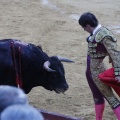 Magdalena 2013