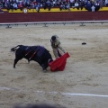 Magdalena 2013