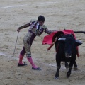Magdalena 2013