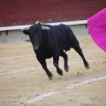 Magdalena 2013