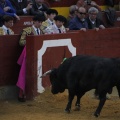 Magdalena 2013