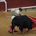 Magdalena 2013