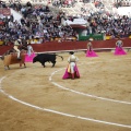 Magdalena 2013