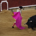Magdalena 2013