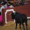 Magdalena 2013