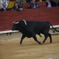 Magdalena 2013