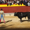 Magdalena 2013