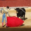 Magdalena 2013