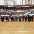 Castellón, Magdalena 2013