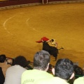 Castellón, Magdalena 2013