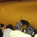 Castellón, Magdalena 2013