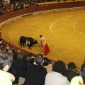 Castellón, Magdalena 2013