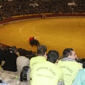Castellón, Magdalena 2013