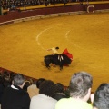 Castellón, Magdalena 2013