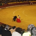 Castellón, Magdalena 2013