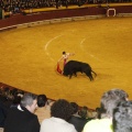 Castellón, Magdalena 2013