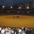 Castellón, Magdalena 2013