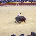 Castellón, Magdalena 2013