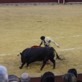 Castellón, Magdalena 2013