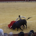 Castellón, Magdalena 2013