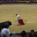 Castellón, Magdalena 2013