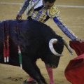 Castellón, Magdalena 2013