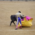 Castellón, Magdalena 2013