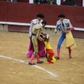 Castellón, Magdalena 2013