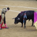 Castellón, Magdalena 2013