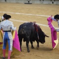 Castellón, Magdalena 2013