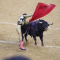 Castellón, Magdalena 2013