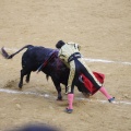 Castellón, Magdalena 2013
