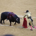Castellón, Magdalena 2013