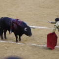 Castellón, Magdalena 2013