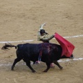 Castellón, Magdalena 2013