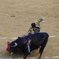 Castellón, Magdalena 2013