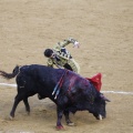 Castellón, Magdalena 2013