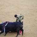 Castellón, Magdalena 2013