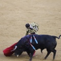 Castellón, Magdalena 2013