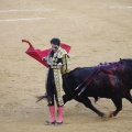 Castellón, Magdalena 2013