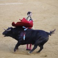 Castellón, Magdalena 2013
