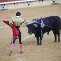 Castellón, Magdalena 2013