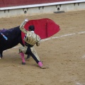 Castellón, Magdalena 2013