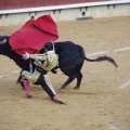 Castellón, Magdalena 2013