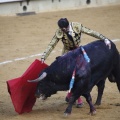 Castellón, Magdalena 2013