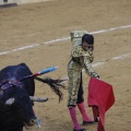 Castellón, Magdalena 2013