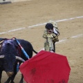 Castellón, Magdalena 2013