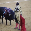 Castellón, Magdalena 2013