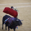 Castellón, Magdalena 2013