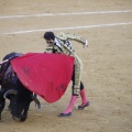 Castellón, Magdalena 2013